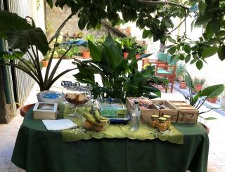 La Collina dei Ciliegi - 7