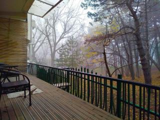 Downtown-Park Lodge - 3