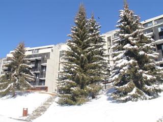 Appartement Confortable 2 Pièces, Proche des Pistes, WIFI Gratuit - FR-1-425-165 - 2