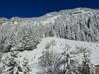 Studio rénové pour 4 pers, proche des pistes à Flaine - FR-1-425-167 - 1