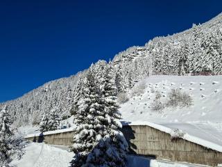 Appartement confortable proche des pistes avec casier à ski - FR-1-425-153 - 2