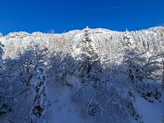 Studio confortable proche des pistes, idéal pour 4 personnes - FR-1-425-182 - 1