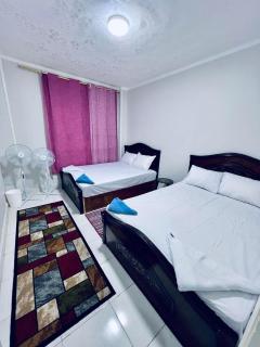 Luxury Tourist Apartment steps from the Grand Egyptian Museum - 3