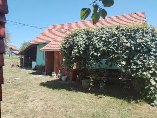 Shambhala Holiday House - 3