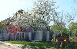 Ferienhaus Waldhof - 3