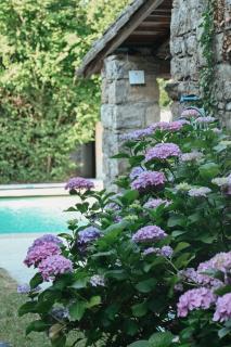 Le Petit Mas des Hirondelles - 4