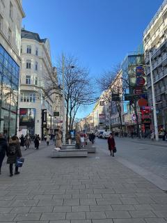 Mariahilfer Best Location in Vienna - 9