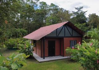 Cozy Studio with private tropical forest - 0