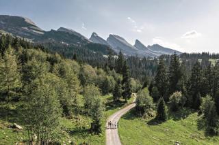 Louisa's Loft -Whirlpool - Berge & Wandern - Abendruhe - familien- & gruppenfreundlich - 1h von Zürich - 6