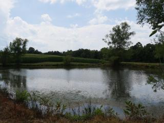 Timber Oaks 2-Home Country Retreat Pond & Hot Tub - 7