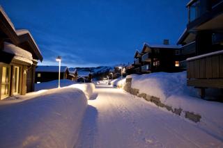 Bright 2-Bedroom With Terrace And Fireplace - Beitostøl - 0
