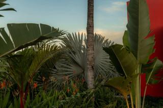 Loma Venao Panoramic Oceanview Villa - 5
