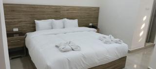 Petra Desert Hotel - 8