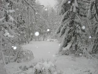 River Dance Retreat - Meredith Lodging - 8