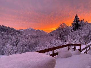 Le Nid des Étoiles - 0