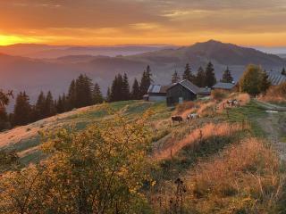 Le Nid des Étoiles - 6