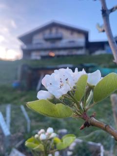 Le Nid des Étoiles - 2