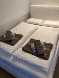 Wellness Oase direkt an der Donau - 22 Bezirk - nahe ACV Austria Center Vienna - VIC Vienna International Center - UNO - Viena - 4