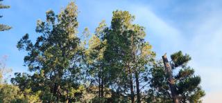 Casa entera con balcón y patio propio "altos del Rio Azul" - 7