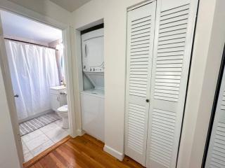 Sun-filled 2BR, In-Unit Laundry, Near T & Medical - 1