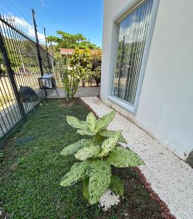 casa la luz Orotina - 1