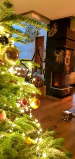 Domki i dom w sadzie Stegna z podgrzewanym basenem - prywatne jacuzzi przy domu - 8