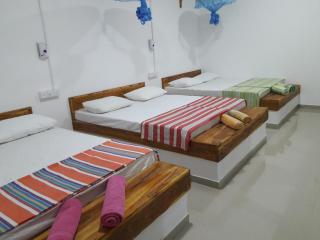 White House Safari Cottage - 2