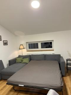 Leni Vacation Rental - 9