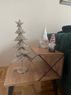 Apartman Happy Moments Kraljevo - 9