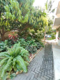 Casa Los Mangales - 5