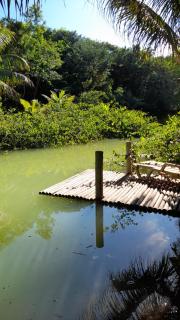 Vivenda Peixe Pequeno - 8