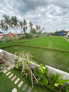 Bale Sidi House - Ubud - 3