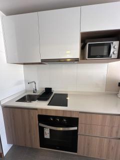 Departamento nuevo a pasos de la cavancha, sector Peninsula - 5