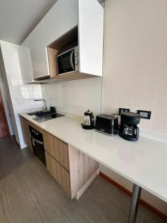 Departamento nuevo a pasos de la cavancha, sector Peninsula - 4