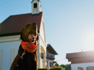 Ferienhaus im Landhausstil im Vital Camp Bayerbach - 6