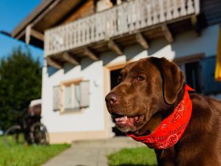 Ferienhaus im Landhausstil im Vital Camp Bayerbach - 8