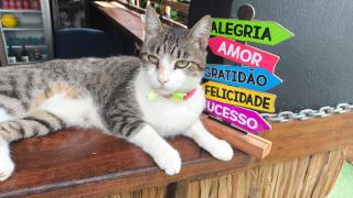 Pousada Caraguá Poesia na Praia - 9