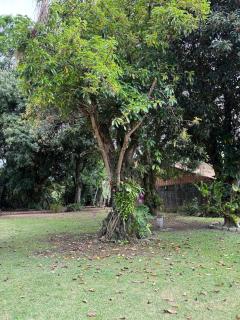 Chácara com piscina em Itatiba - Itatiba - 8