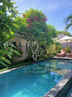 Walet's Paradise - 8