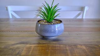 Perfectly Positioned Beachfront - 7