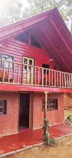 Cabaña pinos mágicos - 9