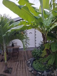 Maisonnette Ti Édèn - Bouillante - 9