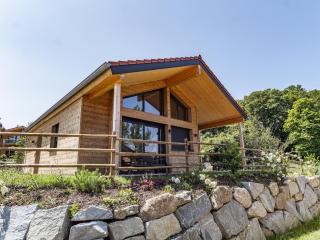 ebenerdiges Chalet im Vital Camp Bayerbach - Bayerbach - 9