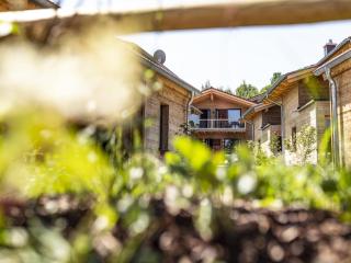 Chalet eigener Sauna im Vital Camp Bayerbach - 9