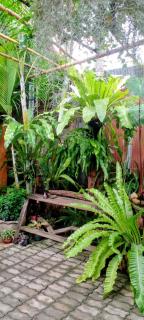 Ouychai Home stay resort - 6