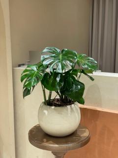 hue hotel - Ho Chi Minh - 4