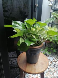 Grand Dilly Inn Saigon Hotel - Ben Thanh Market44 - 5