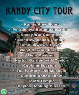 Villa25 Homestay free pick up from the centre - 4