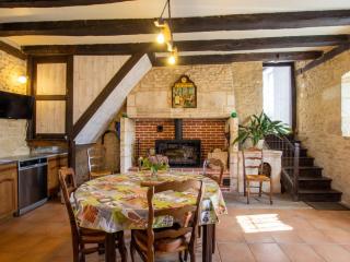 Charmante maison en Dordogne avec jardin et animaux acceptés - FR-1-616-114 - 5