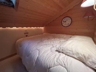 Duplex cosy à Méribel Mottaret proche pistes - FR-1-355-287 - 5